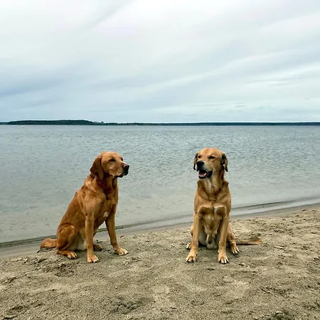 Βίλα Sun & Moon Göhren-Lebbin